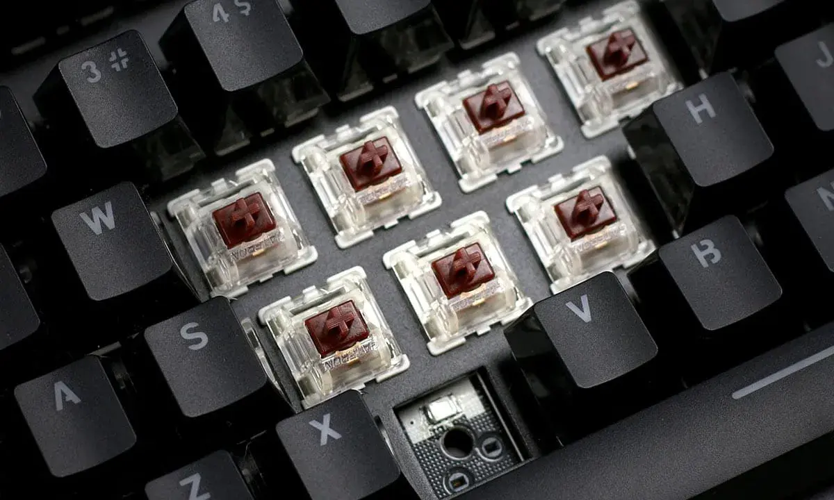 Clavier mécanique avec des switchs marrons transparents, prêts à offrir le meilleur switch clavier pour une frappe réactive.