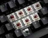 Clavier mécanique avec des switchs marrons transparents, prêts à offrir le meilleur switch clavier pour une frappe réactive.