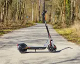 Trottinette Segway sur un chemin forestier. Comment savoir si une trottinette est volée ? Vérifiez le numéro de série et le vendeur.
