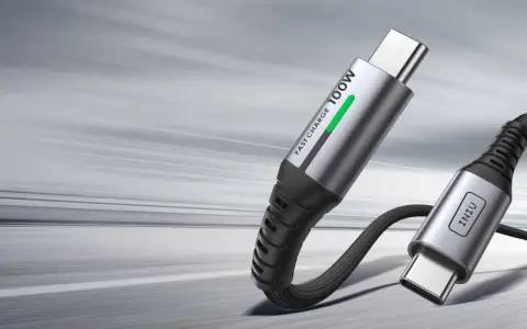 Câble USB-C argenté avec inscription "FAST CHARGE 100W" et un autre connecteur USB-C.