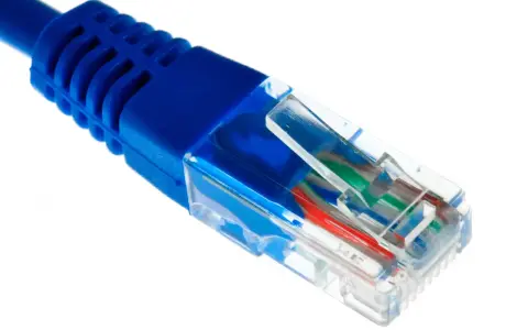 Gros plan sur un connecteur de câble ethernet fibre bleu, montrant les fils colorés à l'intérieur.