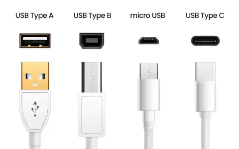 Comparaison des connecteurs USB : Type A, Type B, micro USB et Type C. Le câble USB Type A est doré, les autres sont blancs.