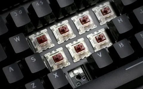 Clavier mécanique avec des switchs marrons transparents, prêts à offrir le meilleur switch clavier pour une frappe réactive.