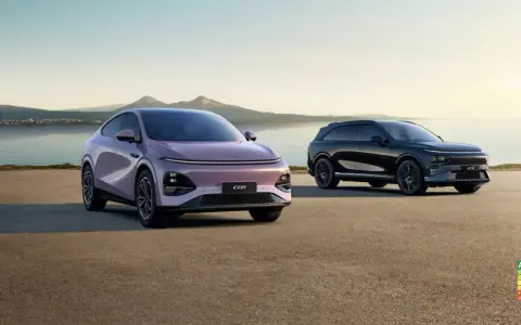 Deux voitures électriques, une rose et une noire, stationnées au bord de l'eau. Le modèle rose, un x peng, est plus proche.