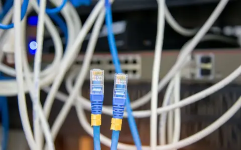 Deux câbles Ethernet bleus avec connecteurs RJ45 transparents, entourés de câbles blancs et bleus. Un choix judicieux pour votre réseau.