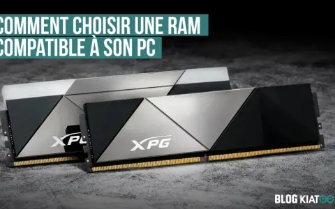 Deux barrettes de RAM XPG, parfaites pour choisir la RAM compatible avec mon PC.