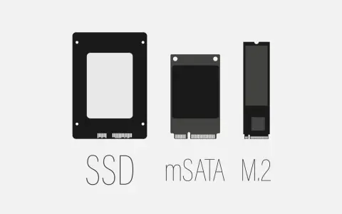 Trois types de SSD : 2,5 pouces, mSATA et M.2. Le SSD, ou Solid State Drive, est un composant essentiel pour la rapidité de votre ordinateur.