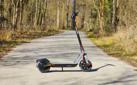 Trottinette Segway sur un chemin forestier. Comment savoir si une trottinette est volée ? Vérifiez le numéro de série et le vendeur.