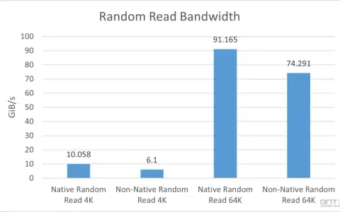 Graphique comparant la vitesse SSD en lecture aléatoire 4K et 64K. Les performances natives sont bien supérieures.