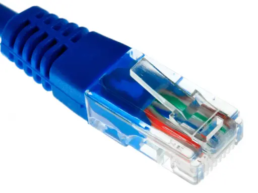 Gros plan sur un connecteur de câble ethernet fibre bleu, montrant les fils colorés à l'intérieur.