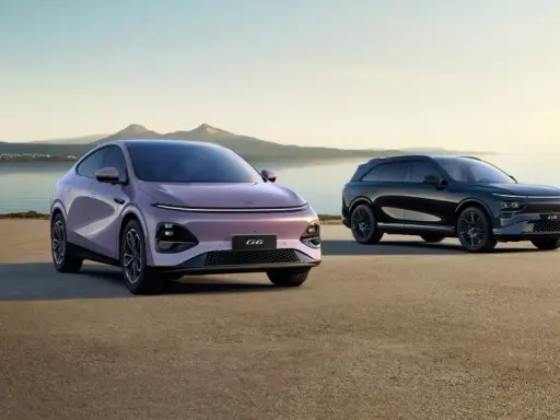 Deux voitures électriques, une rose et une noire, stationnées au bord de l'eau. Le modèle rose, un x peng, est plus proche.