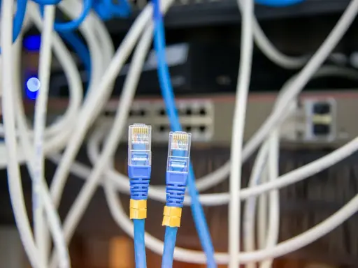 Deux câbles Ethernet bleus avec connecteurs RJ45 transparents, entourés de câbles blancs et bleus. Un choix judicieux pour votre réseau.