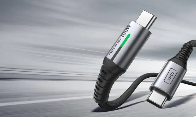Câble USB-C argenté avec inscription "FAST CHARGE 100W" et un autre connecteur USB-C.