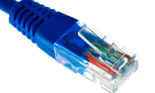 Gros plan sur un connecteur de câble ethernet fibre bleu, montrant les fils colorés à l'intérieur.