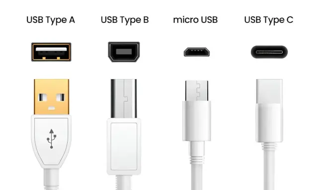 Comparaison des connecteurs USB : Type A, Type B, micro USB et Type C. Le câble USB Type A est doré, les autres sont blancs.