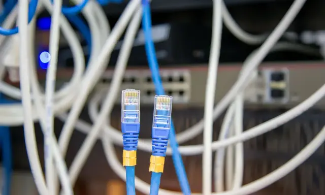 Deux câbles Ethernet bleus avec connecteurs RJ45 transparents, entourés de câbles blancs et bleus. Un choix judicieux pour votre réseau.