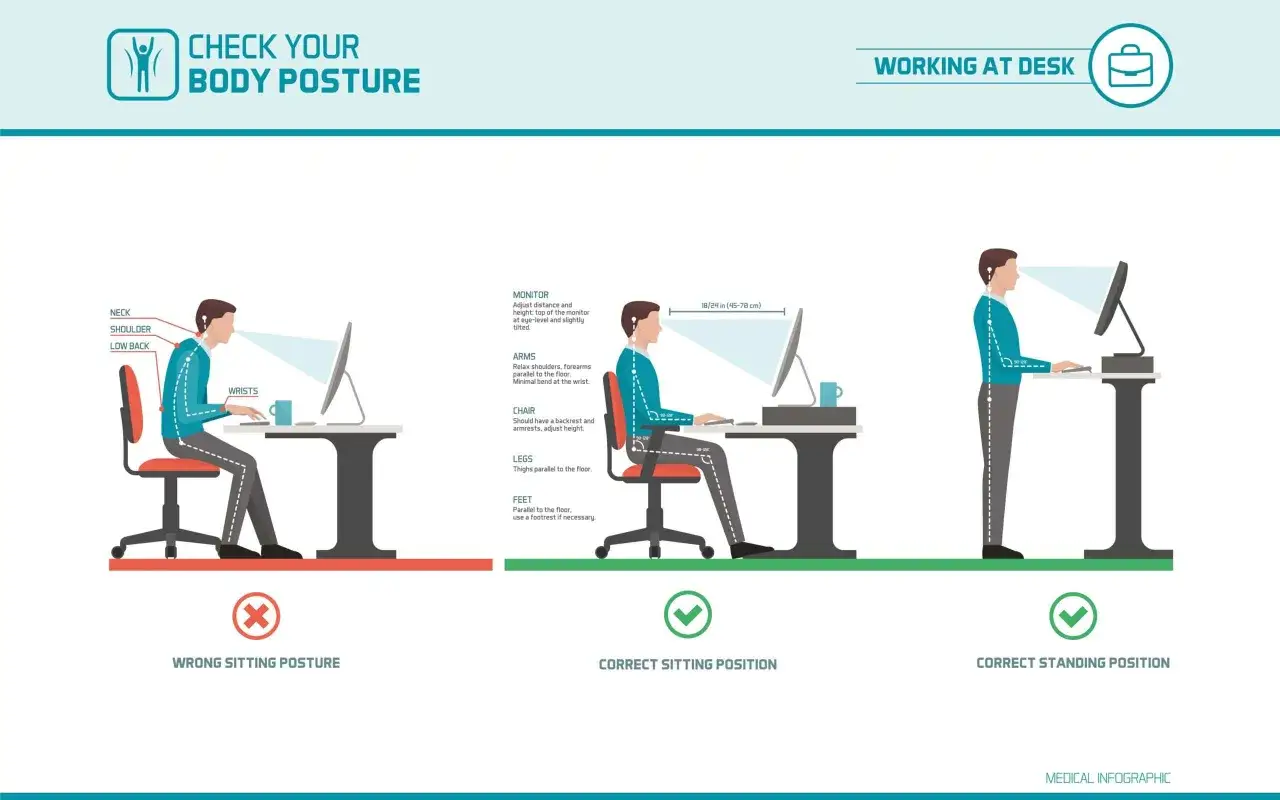 Infographie montrant les bonnes postures assise et debout devant un écran ergonomique, avec des conseils pour le positionnement du corps.