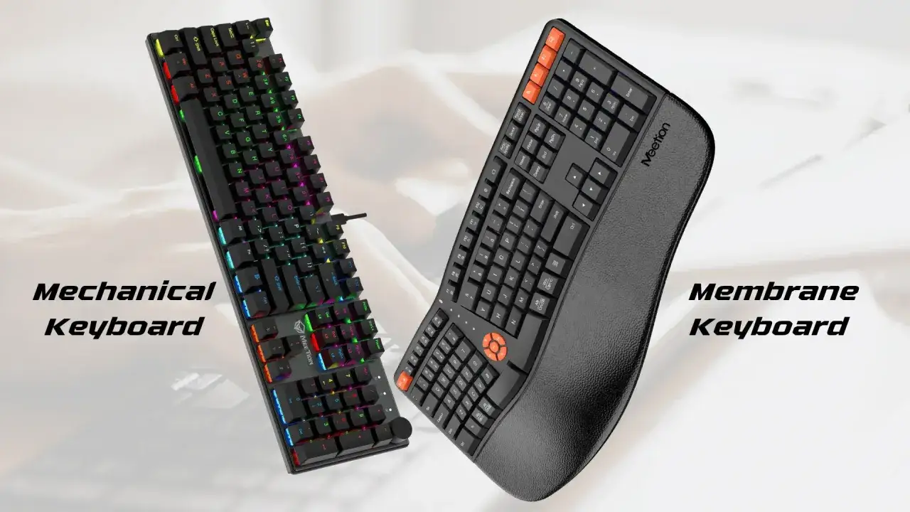 Clavier mécanique RVB et clavier à membrane ergonomique, deux types de clavier côte à côte.